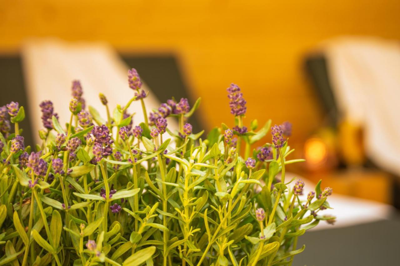 Wellnessoase Mitten In Triberg Triberg im Schwarzwald Eksteriør bilde